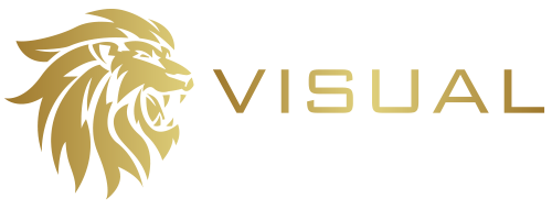 Visual Web Group Logo